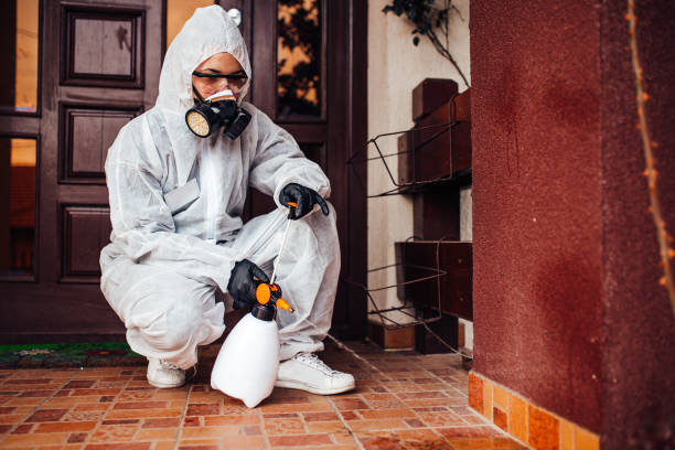 Reliable Wasp Removal contractor in Bennettsville, SC by Show Me Pest Control